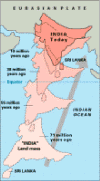 wpe44.gif (31994 bytes)