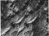 esquistos calizas marmoles y greenstones plegados y fracturados.jpg (371924 bytes)