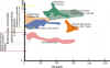 lavas potasicas.jpg (199146 bytes)