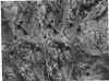 metamorfitas intruidas por monzonita.jpg (368888 bytes)