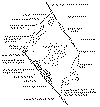 modpull.gif (41732 bytes)