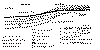 wpe68898.gif (33483 bytes)