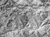 rocas cristalinas, en parte gneissicas.jpg (537669 bytes)