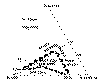 wpe2.gif (9740 bytes)